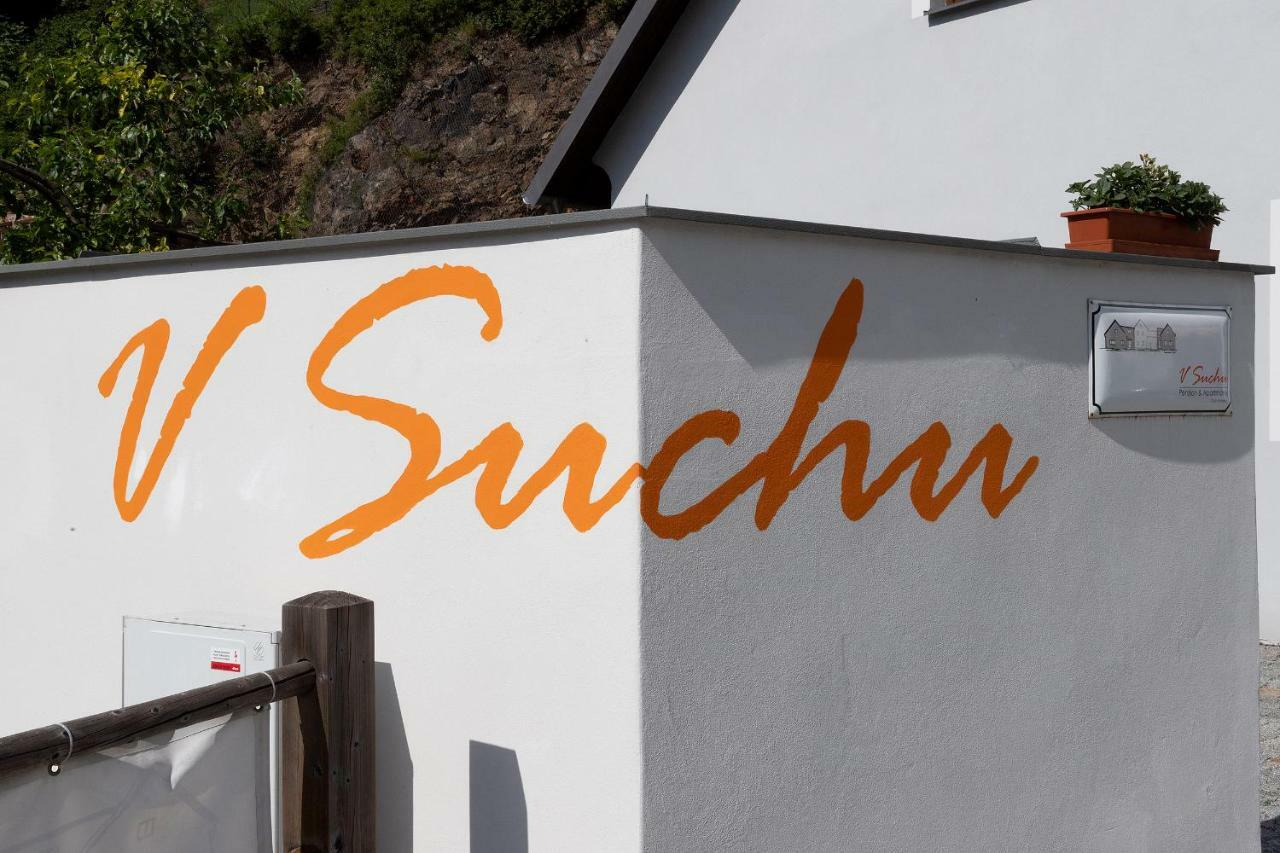 Penzion V Suchu Czeski Krumlow Zewnętrze zdjęcie